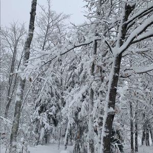 Meet your Posher, Ansley